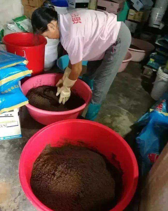 吃河蝦對身體有什么好處_河蝦吃什么_吃河蝦的功效與好處
