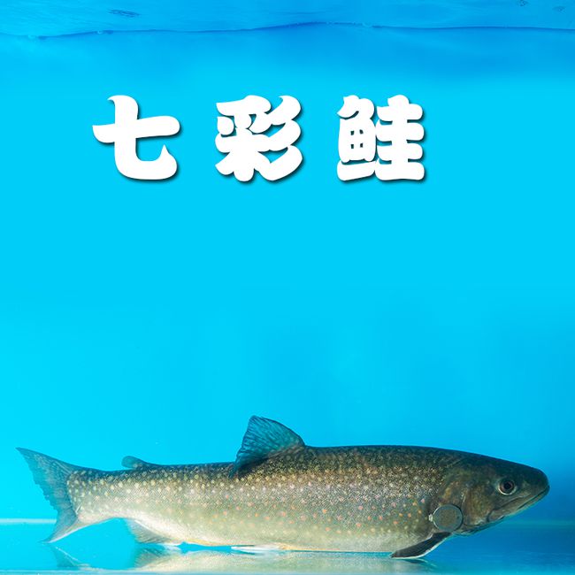 羅花紫珠膠囊的功效_三花五羅_羅花女啥意思