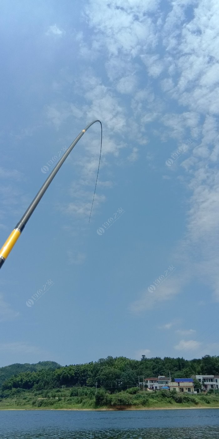 水庫釣大魚_釣水庫大魚用幾H魚竿_釣水庫大魚實用技術