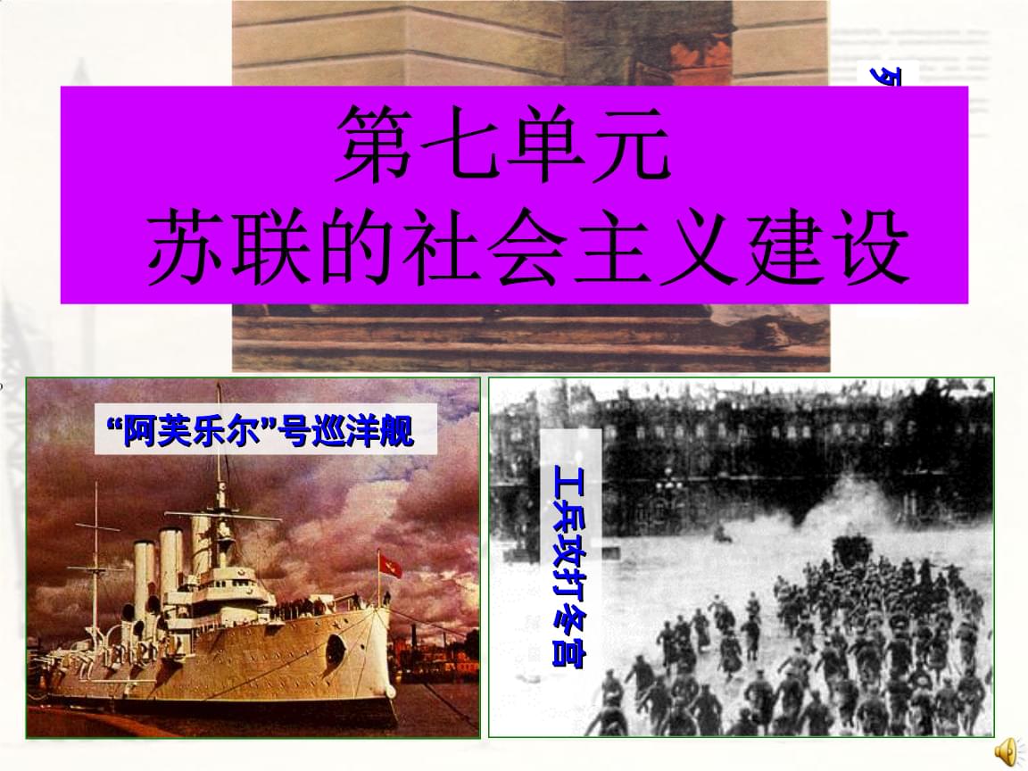甜甜圈龜壽命多長_甜甜圈龜的區別_甜甜圈龜