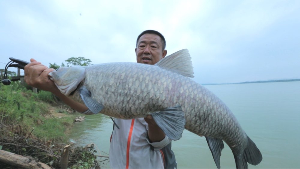 釣魚冬季用什么餌料_冬季釣魚_釣魚冬季是碎米好還是大米好