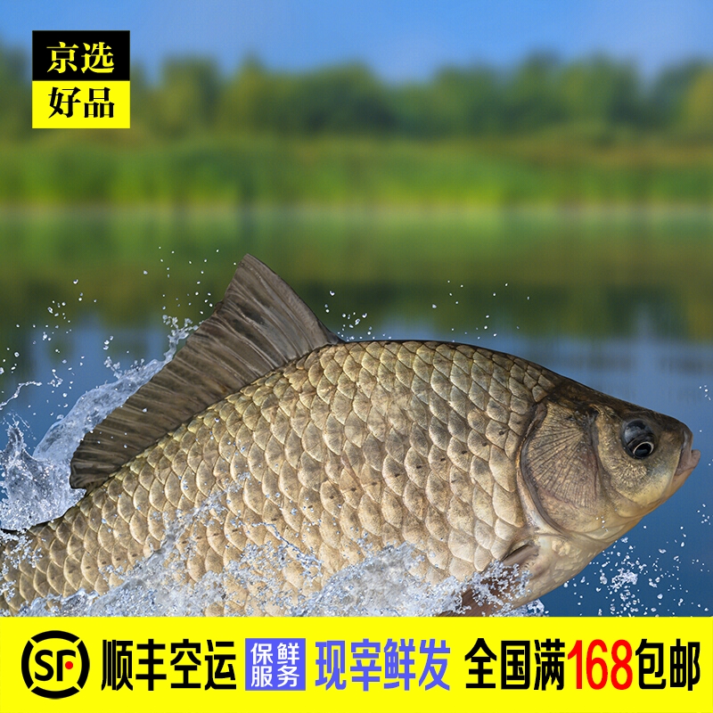 海里魚有哪些種類_海里魚有多少品種_海里有什么魚