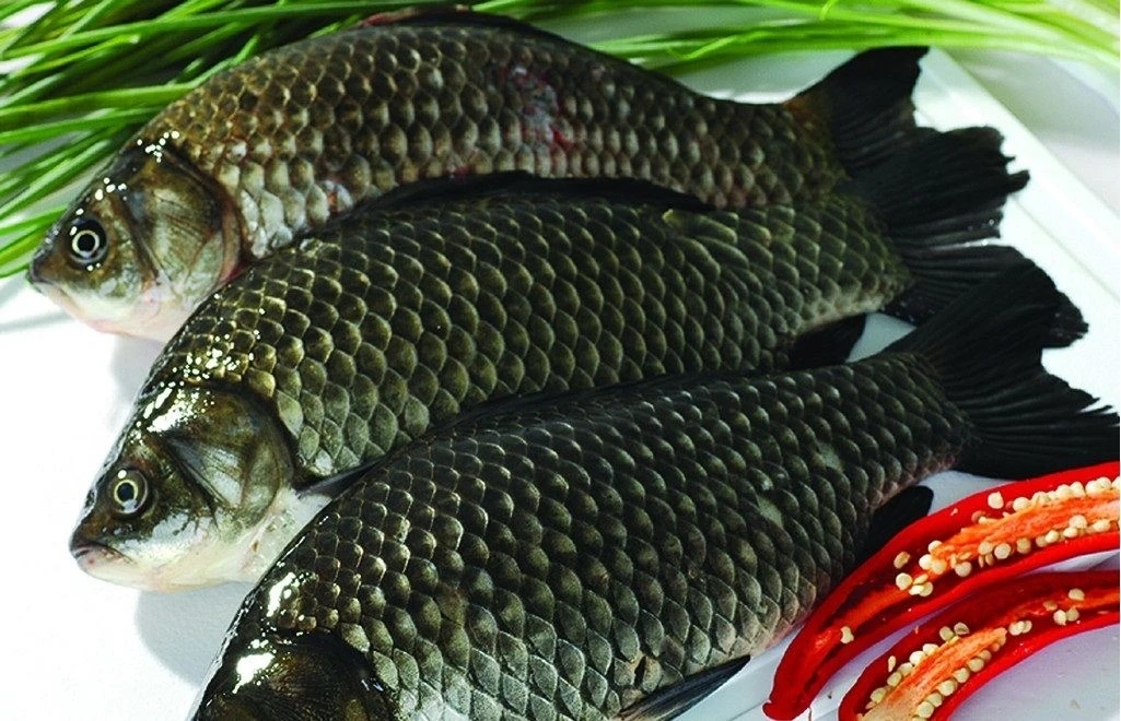 鯽魚湯的做法_鯽魚湯的營養價值及功效_鯽魚湯