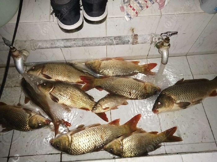 深海釣魚_釣魚深海裝備BJ5000_釣魚深海宴