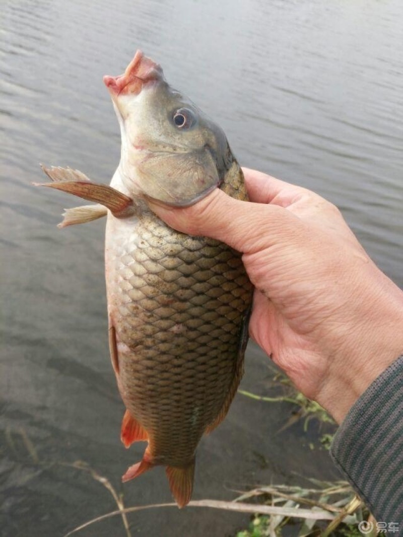 深海釣魚_釣魚深海裝備BJ5000_釣魚深海宴