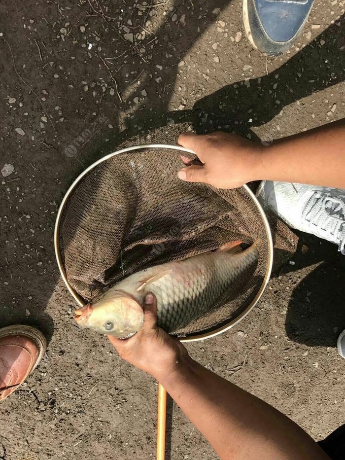 釣魚深海宴_深海釣魚_釣魚深海裝備BJ5000