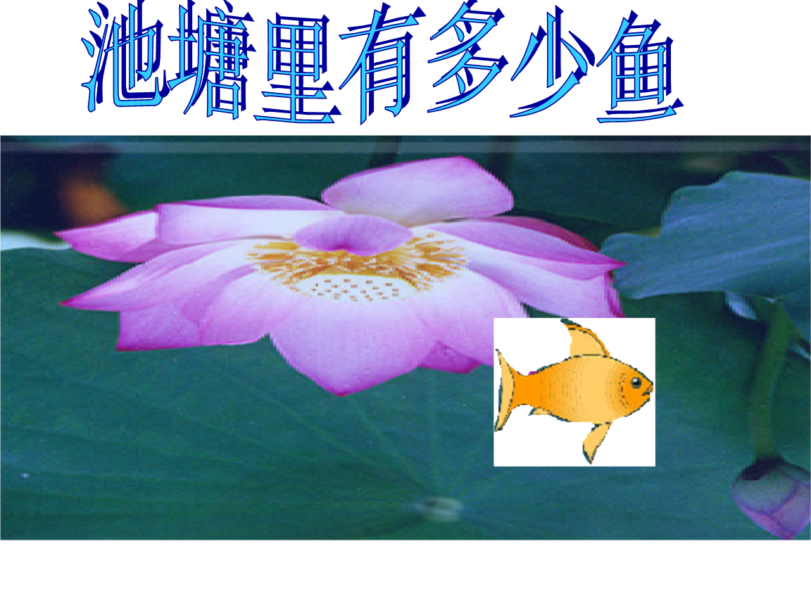 因安縣魚塘感染_安縣魚塘感染_安縣魚塘感染病毒