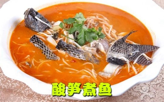 筍殼魚是海魚還是河魚_筍殼魚是海水魚嗎_筍殼魚算海魚嗎