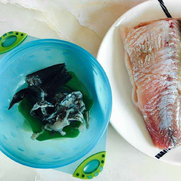 鯽魚打窩用什么餌料最好_用什么打窩大鯽魚最多_鯽魚打窩用什么料最好