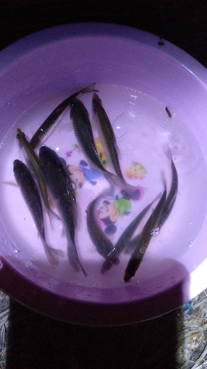 杭州釣魚吧百度貼吧_杭州釣魚_釣魚杭州