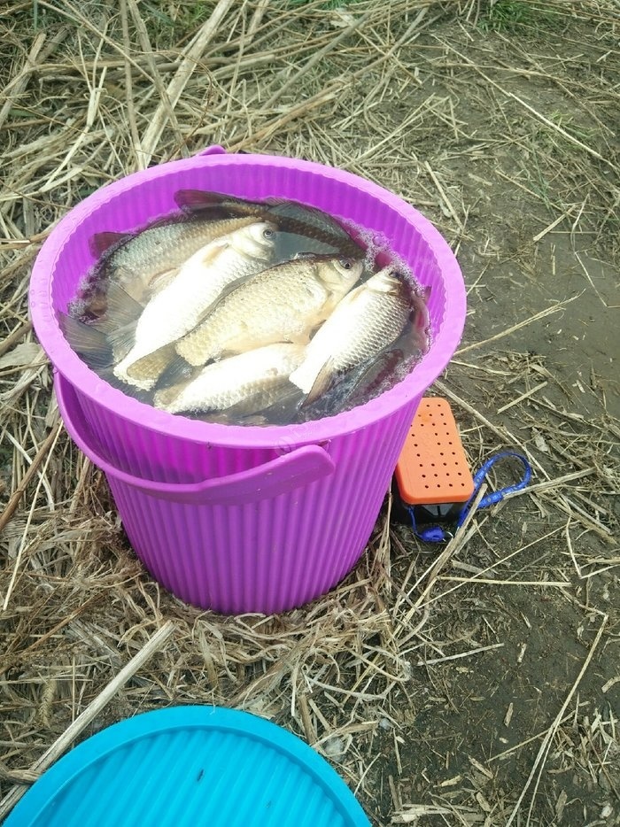 杭州釣魚吧百度貼吧_杭州釣魚_釣魚杭州