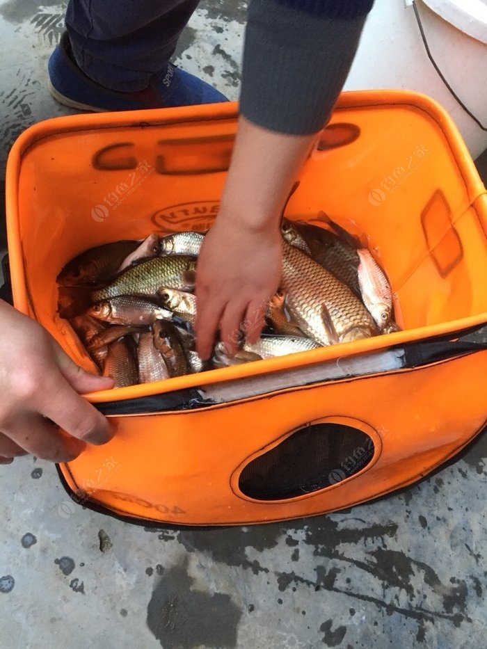 釣魚漂看不見怎么辦_看漂釣魚_釣魚漂看不清楚怎么辦