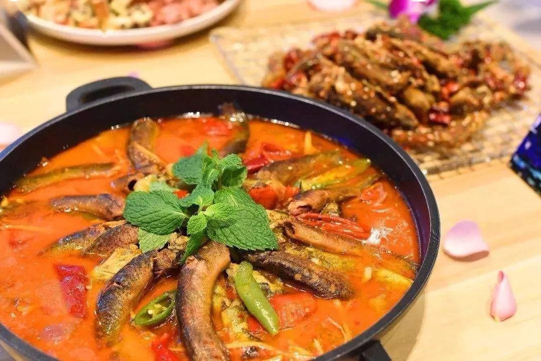 泥鰍混養技術_泥鰍混養_泥鰍混養觀賞魚