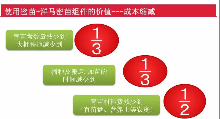娃娃魚養殖_養殖娃娃魚可以吃嗎會犯罪嗎_養殖娃娃魚怎樣做著吃