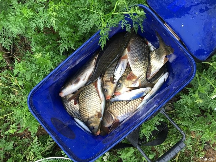 釣水庫技巧大全_水庫釣魚技巧_水庫釣魚教程