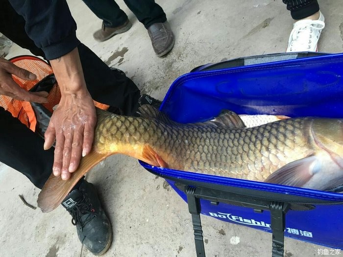 水庫釣魚教程_釣水庫技巧大全_水庫釣魚技巧