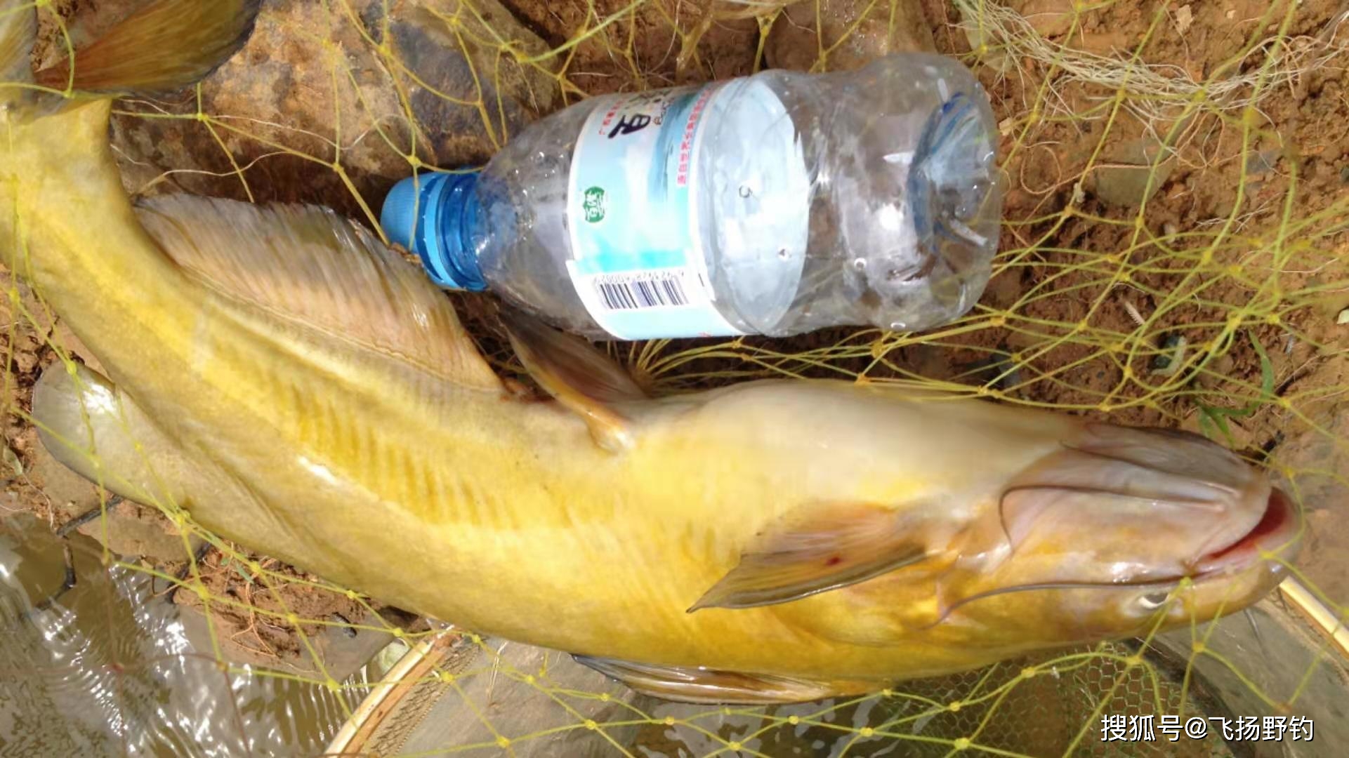 水庫釣魚技巧_釣魚水庫技巧圖解_釣魚水庫技巧和方法