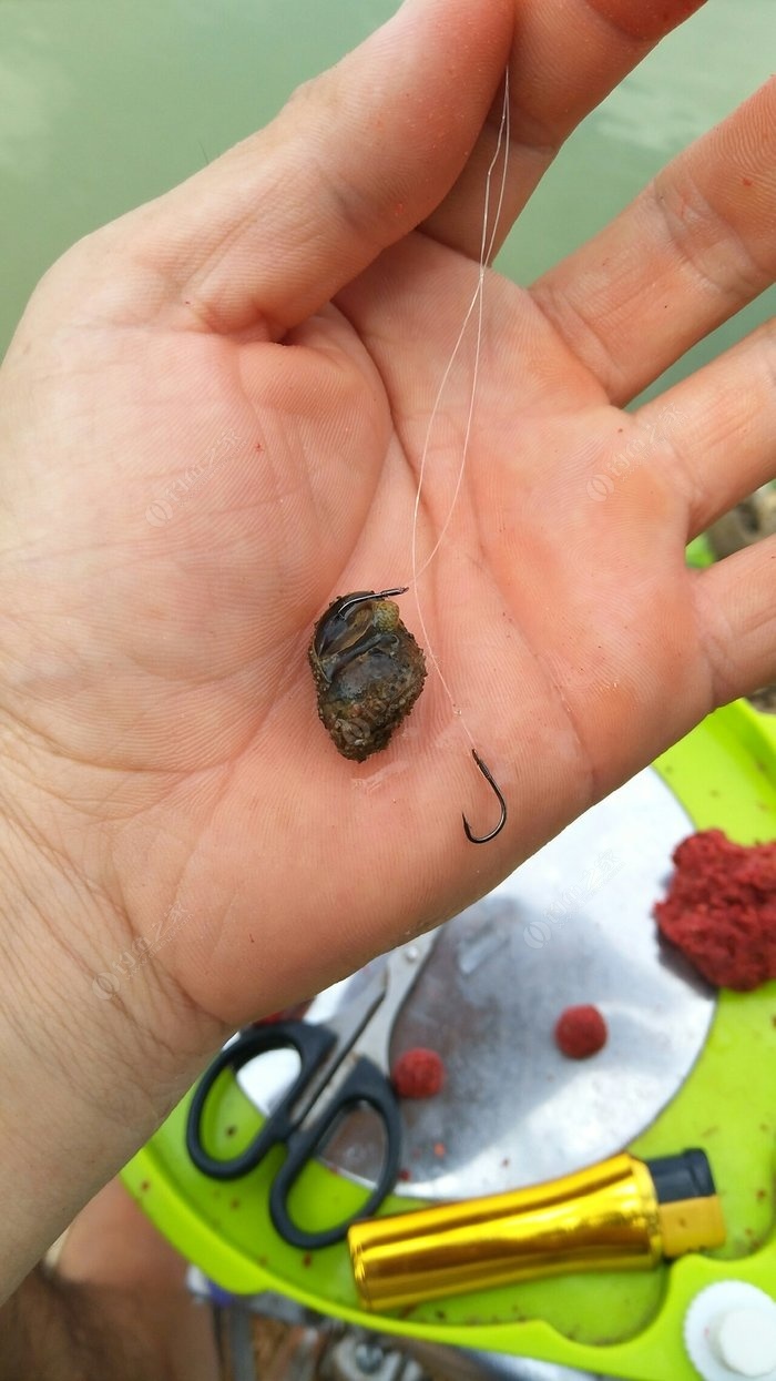 鱖魚路亞桿哪個牌子好_鱖魚路亞竿推薦_路亞鱖魚