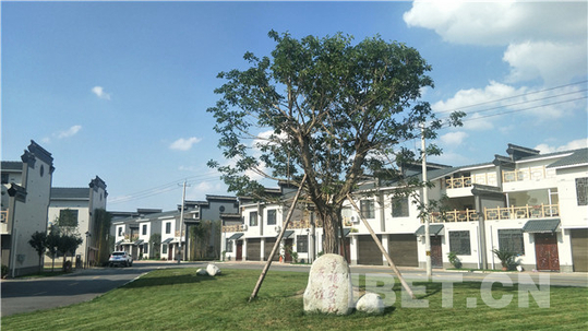 沈陽觀賞魚養殖基地山地面積2300畝共養殖1240畝
