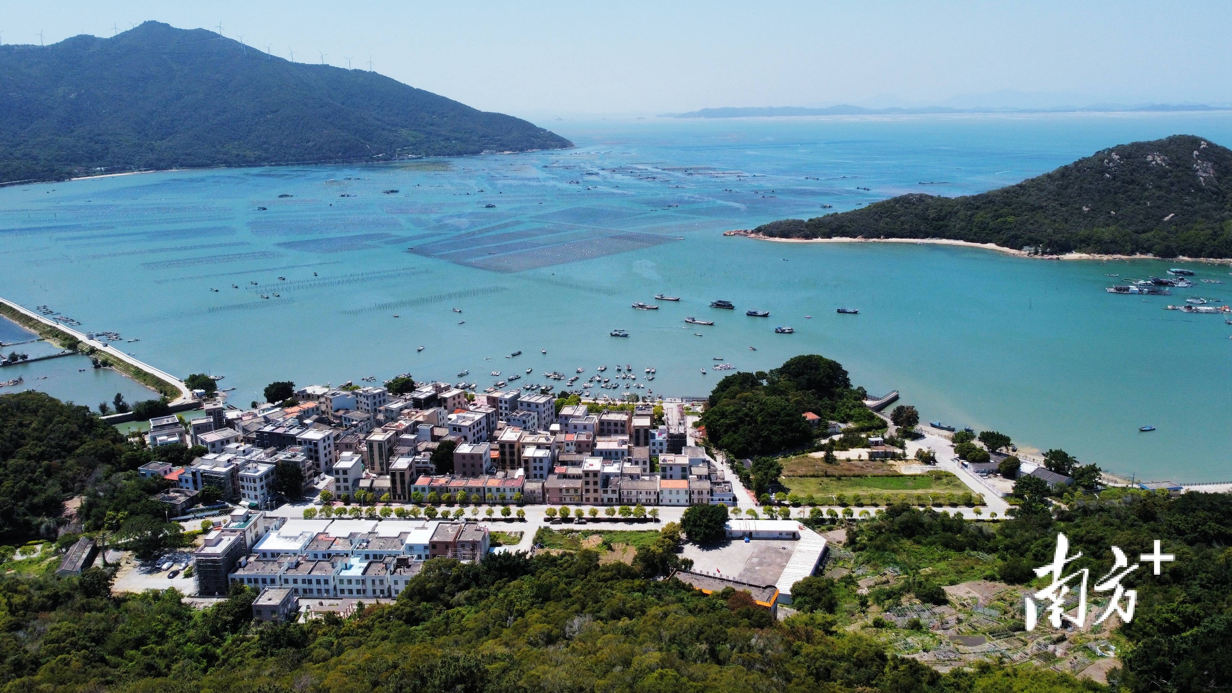 沈陽觀賞魚_沈陽觀賞魚交流群_沈陽觀賞魚養殖基地
