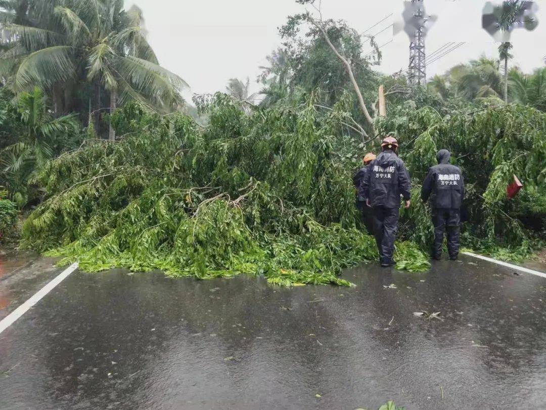 臺風圓規對廈門有影響嗎？臺風實時路徑圖發布