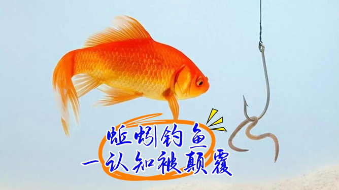 黑魚魚餌最好釣_黑魚用什么魚餌最好釣_釣魚黑魚用什么魚餌