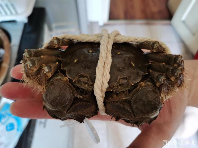 螃蟹保存好久_活螃蟹怎樣保存時間長一些_螃蟹保存活長時間會死嗎