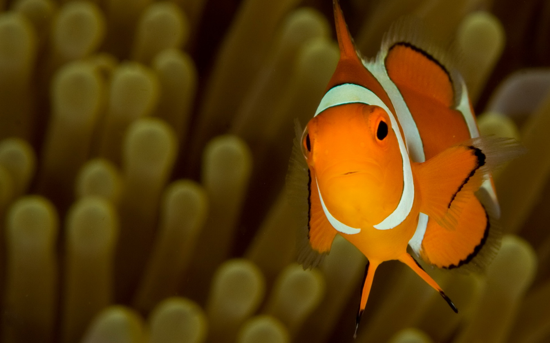 深海釣魚竿_深海釣魚魚竿價格_深海釣桿