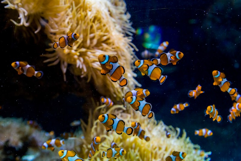 深海釣魚竿_深海釣魚魚竿價格_深海釣桿