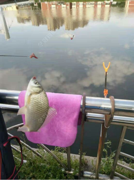 釣魚app官方下載_釣魚下載安裝_釣魚人app軟件下載