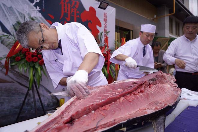 藍鰭金槍魚金槍魚_藍鰭金槍魚_籃鰭金槍魚