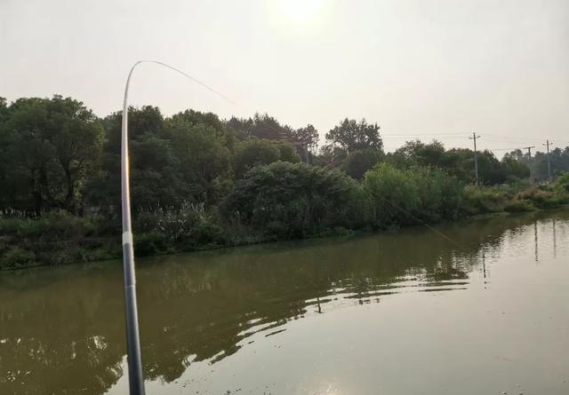 三友創美怎么了_三友創美餌料怎么樣_三友創美