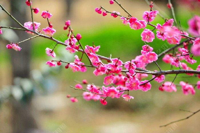 石家莊植物園能不能釣魚？你去過幾個？