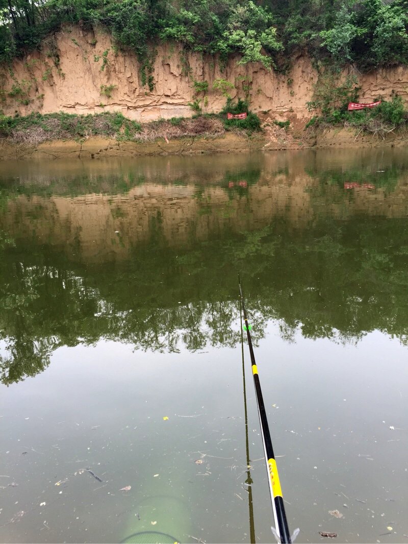 石家莊釣魚_石家莊釣魚_釣魚石家莊李超