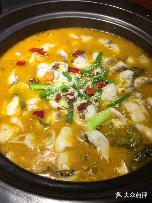 黑魚營養功效與作用_黑魚的營養價值_黑魚營養價值和功效與作用