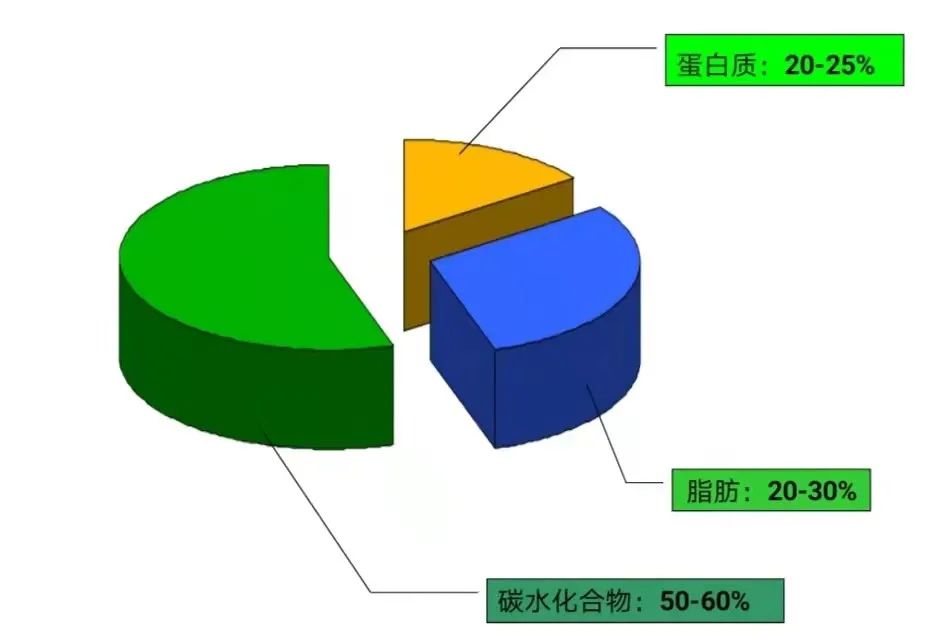 魚苗吃什么_魚苗吃多大的飼料_魚苗吃什么長得最快