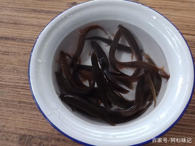 泥鰍養殖業利潤怎么樣_養殖泥鰍投資多少錢_養殖泥鰍掙錢嗎