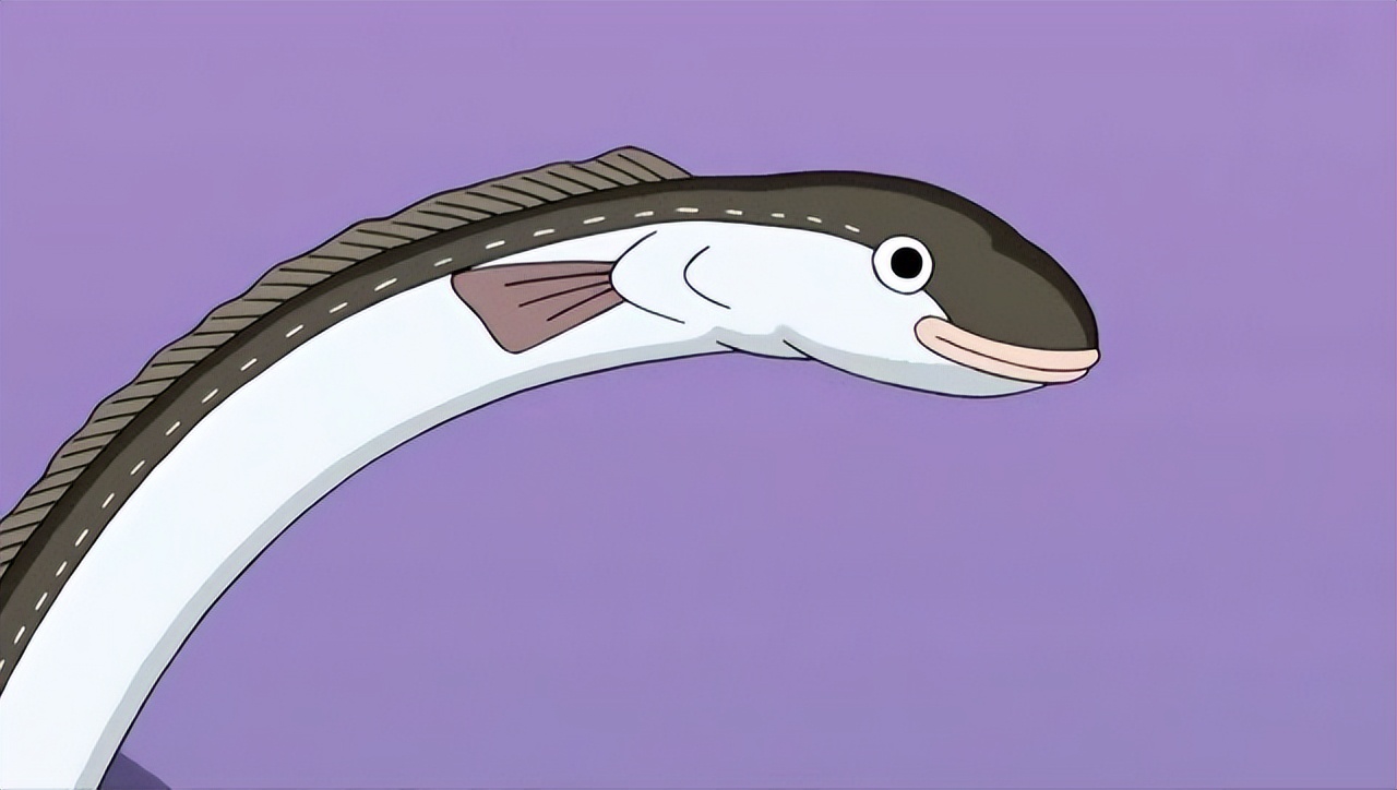 魚有耳朵嗎_耳朵魚長什么樣_魚耳朵里面的東西能吃嗎