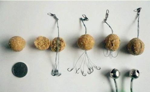 魚的生活習性_各種魚的生活特點_魚生活特點