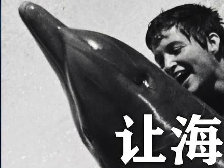 海豚救人的故事_海豚救人視頻_海豚救人