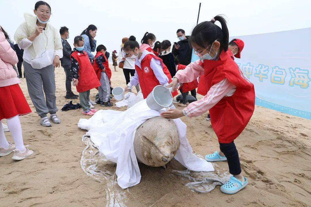 海豚救人是真的嗎_海豚救人_海豚救人視頻