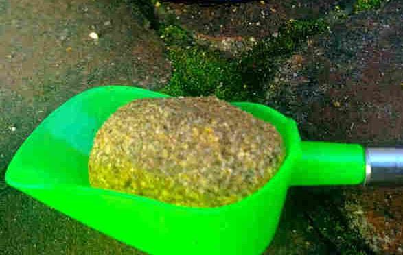釣魚高手的視頻_釣魚高手_釣魚高手破解版下載