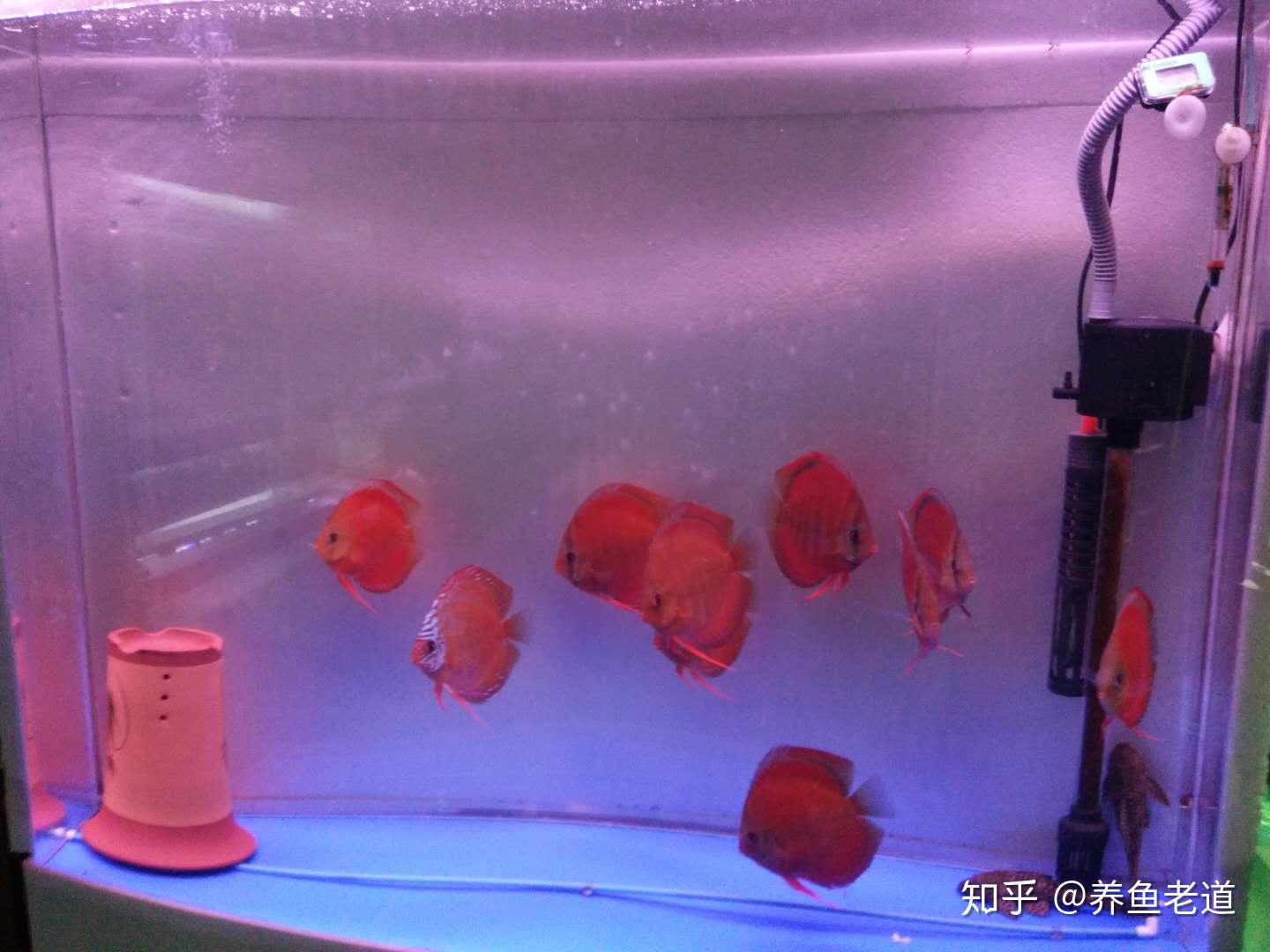 初冬釣鯽魚是釣深還是釣淺_初冬釣鯽魚_初冬野釣鯽魚