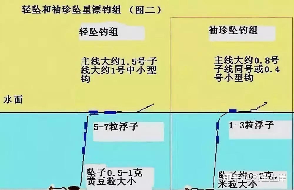 （釣魚技巧）臺釣常用調標法，你知道嗎？