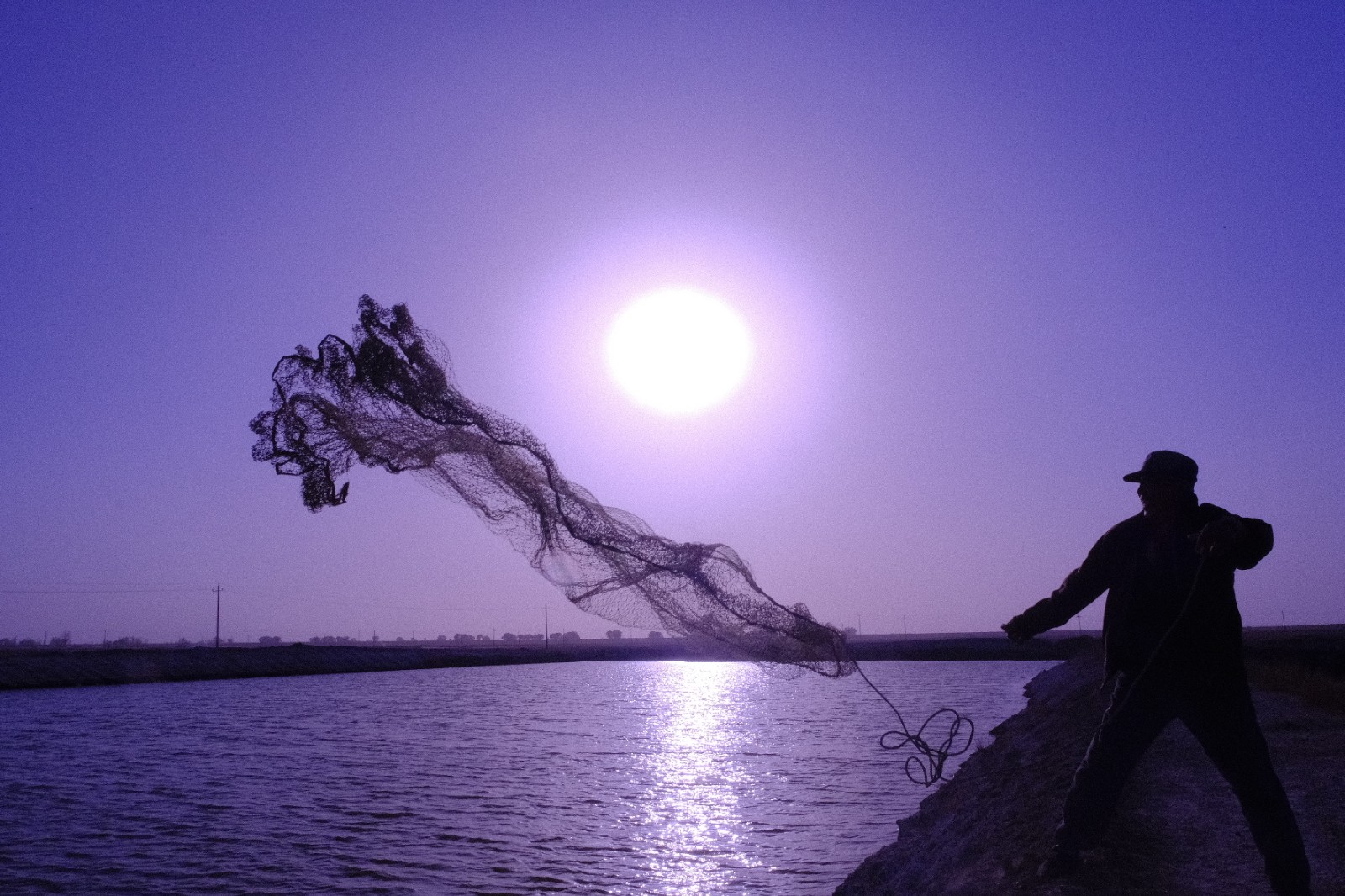 白斑狗魚_白斑狗魚的做法_白斑狗魚多少錢一斤