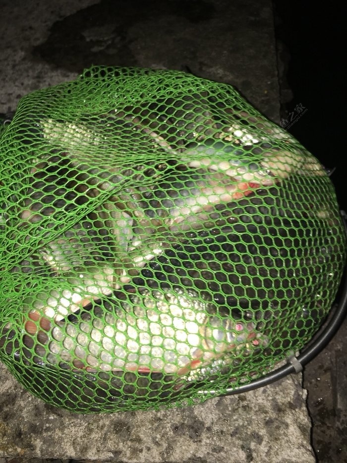磯竿滑漂釣法_磯釣竿滑漂完整使用方法_磯釣竿滑漂