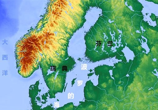 大馬哈魚是淡水魚還是海水魚_大馬魚做法_大馬哈魚