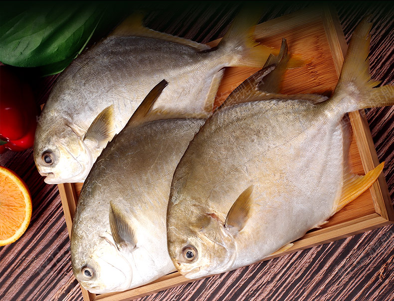 鯧魚的營養價值_鯧魚營養價值及功效_鯧魚的營養價值是什么
