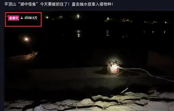 釣魚探測器多少錢一個_釣魚探測器_釣魚探測器價格