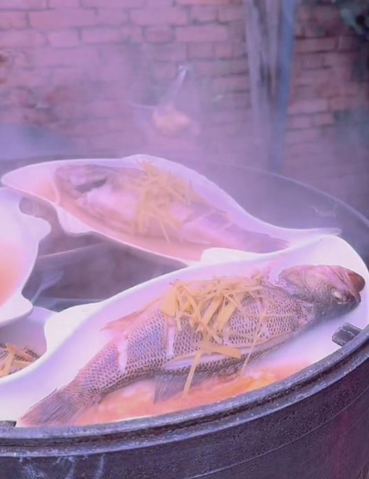 淡水鱸魚為何要少吃_淡水鱸魚多少錢一斤_淡水鱸魚